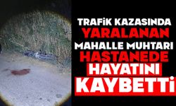 Trafik kazasında yaralanan mahalle muhtarı hastanede hayatını kaybetti