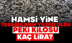 BOLU'DA BALIK FİYATLARI NE DURUMDA?