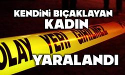 Kendini bıçaklayan kadın yaralandı
