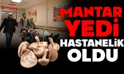 Mantar yedi hastanelik oldu