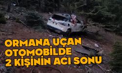 Orman yolunda feci kaza, 2 kişi hayatını kaybetti