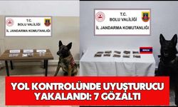 Yol kontrolünde uyuşturucu yakalandı: 7 gözaltı
