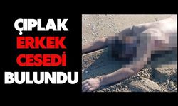 Çıplak erkek cesedi bulundu