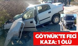 Göynük'te feci kaza: 1 ölü