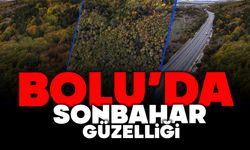 Bolu'da sonbahar güzelliği