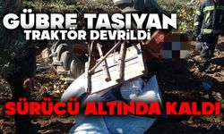 Gübre taşıyan traktör devrildi, sürücü altında kaldı