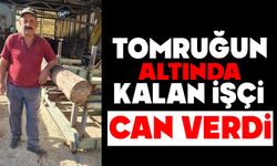 Tomruğun altında kalan işçi hayatını kaybetti