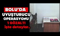 Bolu’da uyuşturucu operasyonu: 1 gözaltı