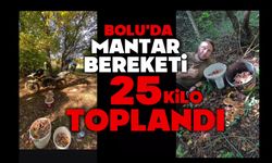 Bolu ormanlarında mantar bereketi: 25 kilo kanlıca topladı