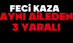 Feci kaza, Aynı aileden 3 yaralı