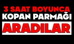 3 saat boyunca kopan parmağı aradılar