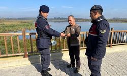 Yaralı halde bulunan baykuş ve kedi tedavi altına alındı