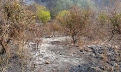 Yaşlı adam, bahçesini temizlerken yangında hayatını kaybetti