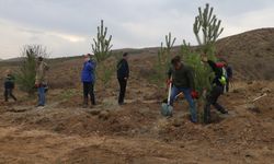 Sivas'ta 58 bin fidan toprakla buluşturuldu