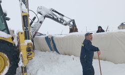 Karın ağırlığına dayanamayan çadır çöktü, 8 koyun telef oldu