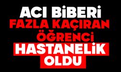 Acı biberi fazla kaçıran öğrenciler hastanelik oldu