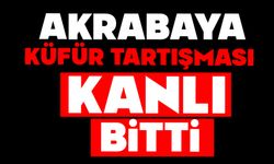 Akrabaya küfür tartışması kanlı bitti