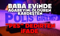 Baba evinde ağabeyini öldüren kardeşten "pes" dedirten ifade