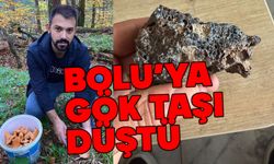 Bolu'ya gök taşı düştü, mantar arayan genç buldu