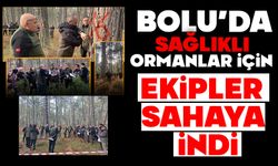 Bolu’da sağlıklı ormanlar için ekipler sahaya indi