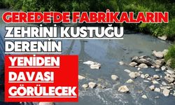 Gerede'de fabrikaların zehrini kustuğu derenin yeniden davası görülecek