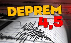 Deprem 1 gün olsun durmuyor