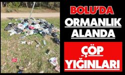 Bolu'da ormanlık alanda çöp yığınları