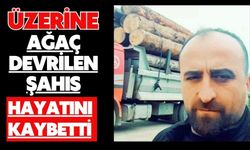 Üzerine ağaç devrilen şahıs hayatını kaybetti