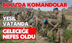 Bolu'da komandolar yeşil vatanda geleceğe nefes oldu