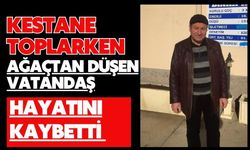Kestane toplarken ağaçtan düşen vatandaş hayatını kaybetti