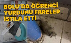 Bolu’daki öğrenciler odalarda fare avına çıktı