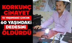 KORKUNÇ CİNAYET: 13 YAŞINDAKİ ÇOCUK, 60 YAŞINDAKİ DEDESİNİ SİLAHLA ÖLDÜRDÜ