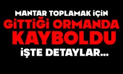 Mantar toplamak için gittiği ormanda kayboldu