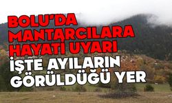 Bolu’da mantarcılara hayati uyarı