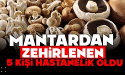 Mantardan zehirlenen 5 kişi hastanelik oldu
