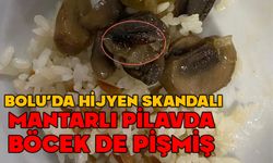 Bolu'da yemekten böcek çıktı iddiası