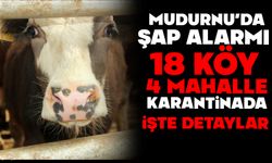Mudurnu’da şap alarmı: 18 köy, 4 mahalle karantinada!
