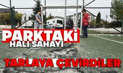 Parktaki halı sahayı, tarlaya çevirdiler