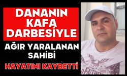 Dananın kafa darbesiyle ağır yaralanan sahibi hayatını kaybetti