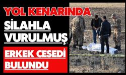 Yol kenarında silahla vurulmuş erkek cesedi bulundu