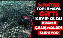 Mantar Toplamaya Gitti, Kayıp Oldu, Arama Çalışmaları Sürüyor