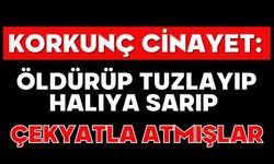 Korkunç cinayet: Öldürüp tuzlayıp halıya sarıp çekyatla atmışlar