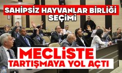 Sahipsiz Hayvanlar Birliği Seçimi Mecliste Tartışmaya Yol Açtı