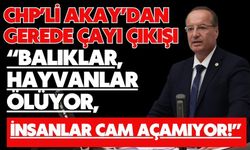 CHP’Lİ AKAY’DAN GEREDE ÇAYI ÇIKIŞI