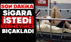 Sigara istedi, vermeyince bıçakladı