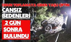 Odun toplamaya giden yaşlı çiftin cansız bedenleri 2 gün sonra bulundu