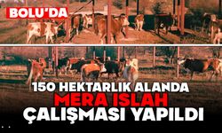 BOLU’DA, 150 HEKTARLIK ALANDA MERA ISLAH ÇALIŞMASI YAPILDI