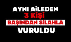 Aynı aileden 3 kişi, başından silahla vurulmuş halde ölü bulundu