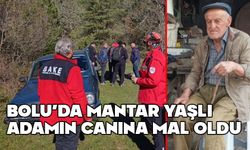 Bolu'da, mantardan ilk ölüm geldi
