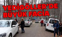 Yedigöller'de otomobiller uçuruma yuvarlandı